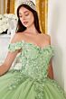 LaDivine 15710 3D Floral Applique Off-The-Shoulder Sweet 16 Gown