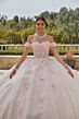 Mori Lee 60185 3D Flowers Sheer Bodice Quinceanera Dress