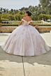 Mori Lee 60185 3D Flowers Sheer Bodice Quinceanera Dress