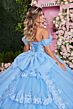 Mori Lee 89509 Off-The-Shoulder Pannier Skirt Sheer Bodice Dress