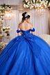 Mori Lee 89523 Rosette Sleeve Sweetheart Neck Dress