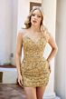 Primavera Couture 4430 Lace-Up Back Floral Embroidery Dress
