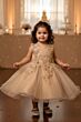 Cinderella Couture 9156B Baby Girl Dress