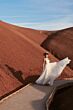 Willowby 52609L Lainie V-Back Surplice Bodice Bridal Gown
