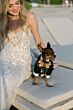 Locket 15806 Lolli Godet Skirt Spaghetti Straps Trumpet Wedding Gown