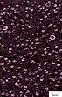 Merlot