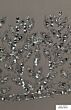 Adrianna Papell 40252 Beaded Bodice Dress - Stock Only