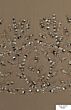 Adrianna Papell 40252 Beaded Bodice Dress - Stock Only