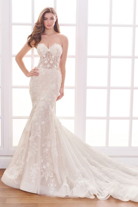 Ivory/Champagne
