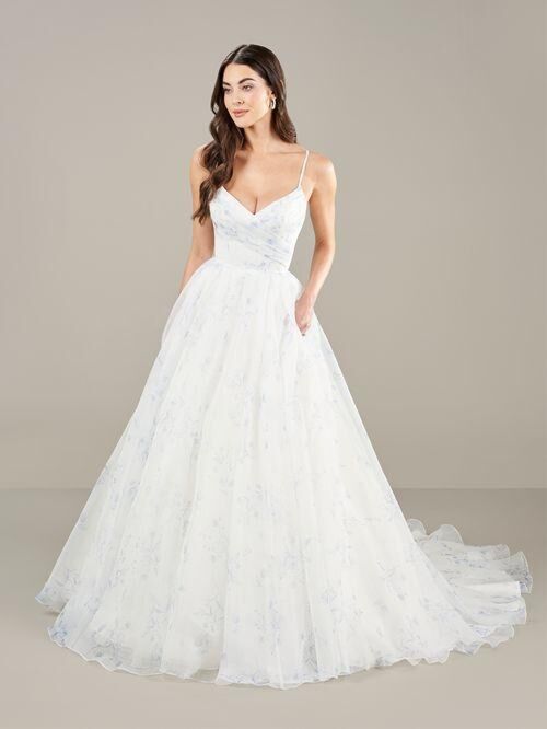 Ivory/Blue