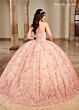 Rachel Allan RQ1123 Detachable Sleeve Embroidered Quinceanera Dress