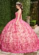 Rachel Allan RQ1123 Detachable Sleeve Embroidered Quinceanera Dress