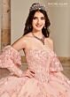Rachel Allan RQ1123 Detachable Sleeve Embroidered Quinceanera Dress
