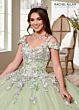 Rachel Allan RQ1125 3D Flowers Cold Shoulder Quinceanera Dress