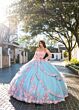 Rachel Allan RQ2196 Sheer Sleeve Petal Train Quince Gown