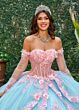 Rachel Allan RQ2196 Sheer Sleeve Petal Train Quince Gown