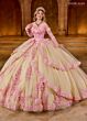 Rachel Allan RQ2196 Sheer Sleeve Petal Train Quince Gown
