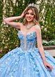 Rachel Allan RQ3135 Plunging Neck Removable Cape Quince Gown