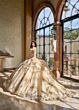 Rachel Allan RQ3137 Off-The-Shoulder Pannier Skirt Quince Gown