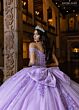Rachel Allan RQ1165 Plunging Neckline Bow Back Dress