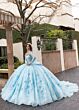 Rachel Allan RQ1168 High Neck Gauntlet Sleeve Topper Dress