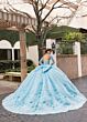 Rachel Allan RQ1168 High Neck Gauntlet Sleeve Topper Dress