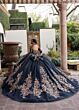 Rachel Allan RQ1168 High Neck Gauntlet Sleeve Topper Dress