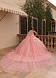 Rachel Allan RQ3162 3D Flower Sweet XV dress
