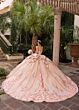 Rachel Allan RQ3162 3D Flower Sweet XV dress