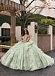 Rachel Allan RQ3163 Plunging Neckline Embroidered Dress