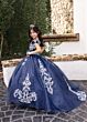 Rachel Allan RQ4055 Boat Neckline Embroidered Dress