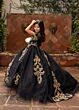 Rachel Allan RQ4055 Boat Neckline Embroidered Dress