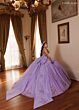Rachel Allan RQ1190 Back Bow Illusion Bodice Quince Dress