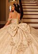 Rachel Allan RQ1192 Basque Waist Sweetheart Neck Quince Dress