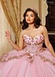 Rachel Allan RQ1196 Sheer Cape Back Bow Quince Gown