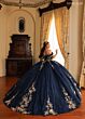 Rachel Allan RQ3181 Sweetheart Neck Glitter Tulle Quinceanera Dress