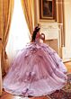 Rachel Allan RQ3182 Long Sleeve Tiered Skirt Quinceanera Gown