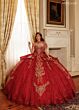 Red Gold
