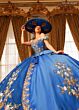Rachel Allan RQ5020 Off The Shoulder Floral Embroidered Sweet 16 Dress