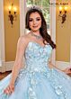 Rachel Allan RQ2168 Detached Sleeve Embroidered Quince Gown