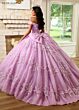 Rachel Allan RQ1134 Off-The-Shoulder Plunging Neck Quince Gown