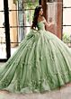 Rachel Allan RQ1134 Off-The-Shoulder Plunging Neck Quince Gown
