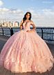 Rachel Allan RQ1134 Off-The-Shoulder Plunging Neck Quince Gown