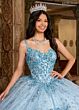 Rachel Allan RQ1136 Cold-Shoulder Flutter Sleeve Quinceanera Gown