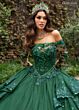 Rachel Allan RQ2192 Basque Waist Illusion Sleeve Quince Dress