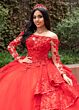 Rachel Allan RQ2192 Basque Waist Illusion Sleeve Quince Dress
