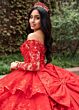 Rachel Allan RQ2192 Basque Waist Illusion Sleeve Quince Dress