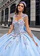 Rachel Allan RQ3126 Cap Sleeve Sweetheart Neck Quince Gown