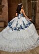 Rachel Allan RQ5002 Strapless Ruffle Skirt Quince Gown