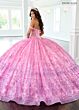 Rachel Allan RQ2212 Illusion Bodice Off-The-Shoulder Quince Dress